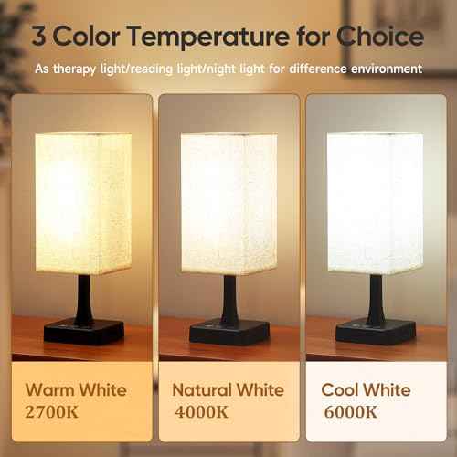 Light Therapy Lamp 10000 Lux Therapy Light with Remote and Touch Control, 3 Color Temperature, 5 Brightness Level Full Spectrum Light with USB C & A Ports Home/Office Use As Lift Mood, Black, 24W