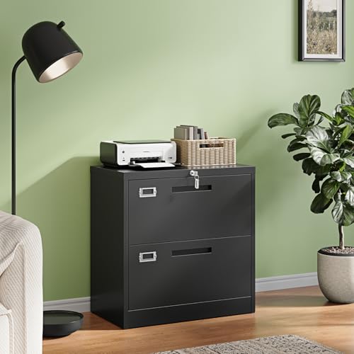 Letaya 2 Drawer File Cabinet with Lock,Metal Lateral Filing for Home