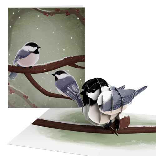 Lovepop Winter Bird Box Set (Assorted 12-Pack) Pop-Up Card for Her and Him - 3D Holiday Greeting Cards for Boys, Girls, Men, Women - 4.5" x 5.9" Paperpop Card - Envelope Included