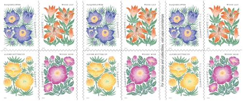 US First Class Forever Postage Stamps - Mountain Flora Wildflowers, 1 Book of 20