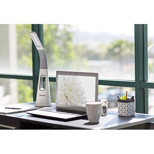 Turcom LED Desk Lamp with Fan, Cool Breeze Lamp with Bladeless Fan with Adjustable Neck, 3 Speeds and 5 Brightness Levels, White