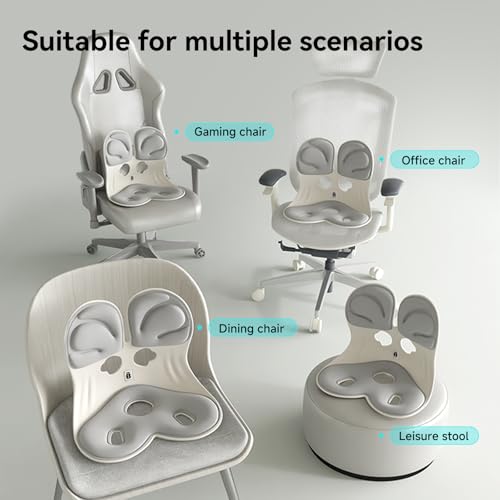 BKT Seat Cushion Chair Ergonomic Office Chair Cushions Lumbar Support for Seat Pillow Ideal for Students Office Workers Nursing Mothers Long Sitting Outdoor Fishing Floor (Grey)