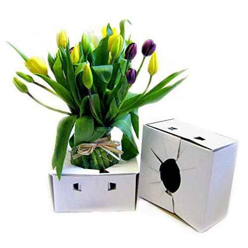 United Wholesale Flowers Cardboard Delivery Boxes l Flower Delivery Box l Vase Boxes Cardboard for delivery l Florist Delivery Boxes (10)