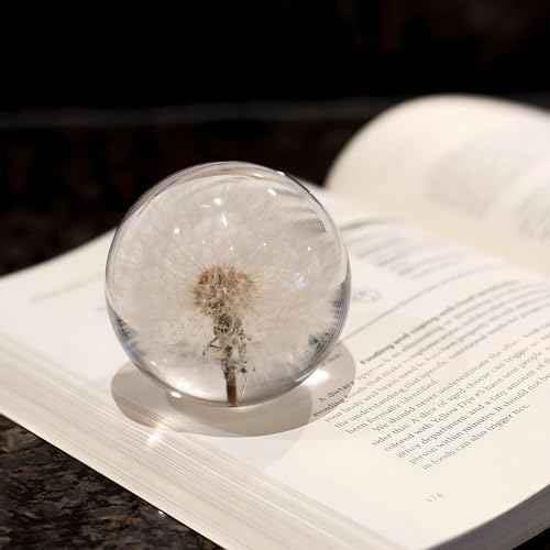 Real Dandelion Paperweight - Home Decor Crystal Resin Ball 3.14in (80mm) - Clear Resin Dandelion Flower Globe for Special Days - Sphere Figurine Office Paperweight w/Flat Bottom