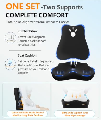 JIPORIER Black Lumbar Support Pillow & Memory Foam Seat Cushion for Office Chair