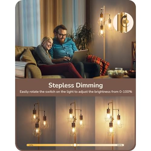 EDISHINE Dimmable Industrial Floor Lamp, Farmhouse Standing Lamp for Living Room with 3 LED Edison Bulbs, Diamond-Shaped Cage, Corner Rustic Rattan Reading Lamps for Bedroom, Office, Gold