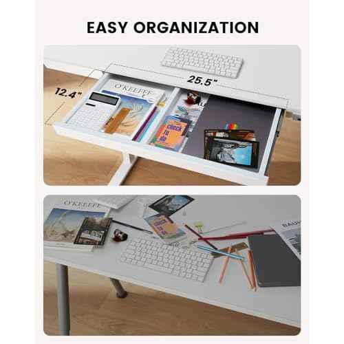 ErGear Electric Standing Desk with Drawers & USB Charging Ports, 48 x 24 Wood Height Adjustable Desk Whole Piece Home Office Computer Desk, White