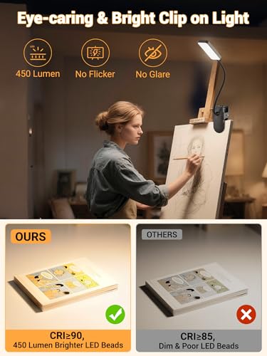 ReinHoo Black Clip-On Rechargeable Desk Lamp with 45 Lighting Modes