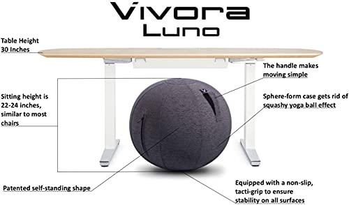 Vivora Luno Exercise Ball Chair with Handle & Cover for Office & Home