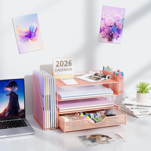 Gianotter Rose Gold 4-Tier Desk Organizer with File Holder, Pen & Drawer Storage