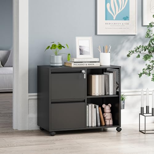 MIIIKO Metal 2-Drawer Lockable File Cabinet with Locking Drawers and Mobile Casters
