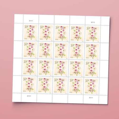US Postal Service Poppies and Coneflowers 2024 10-Cent Definitive Postage Stamps - 20 Sheets