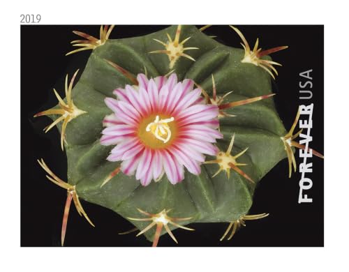 USPS Forever First Class Postage Stamps - Cactus Flower Collection, 20 Booklets (100 Stamps)