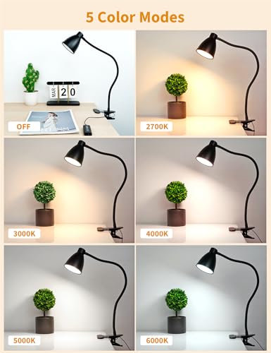 BOHON Black LED Desk Lamp with 5 Color Modes and Dimming, Eye-Care Reading Light