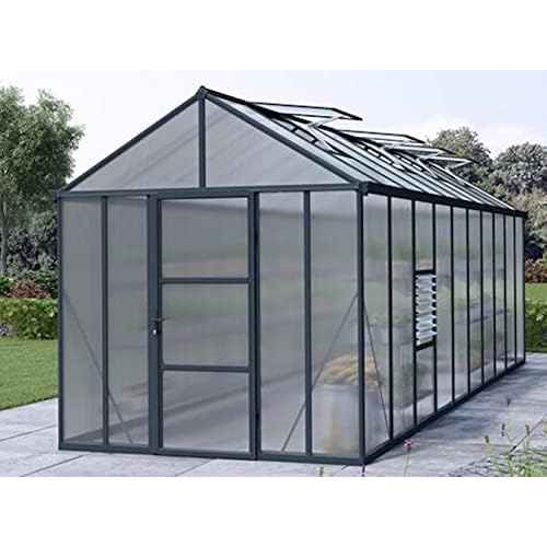 Falken Design 24 in x 36 in x 0.3125 in Clear Twin Wall Polycarbonate Sheet