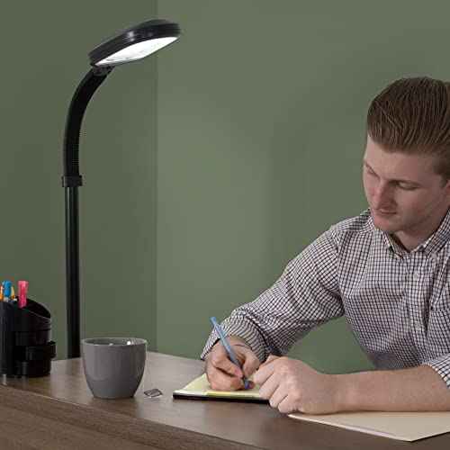 Lavish Home Adjustable Floor Lamp for Bedroom - Full Spectrum Natural Sunlight Lamp for Office with Bendable Neck for Reading Light, Craft, Studying, and Esthetician Light - (Black)