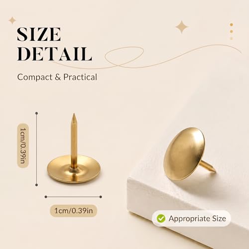 DZKZO Gold Thumb Tacks 480-Piece Set, Flat Push Pins for Bulletin Boards & Wall Displays