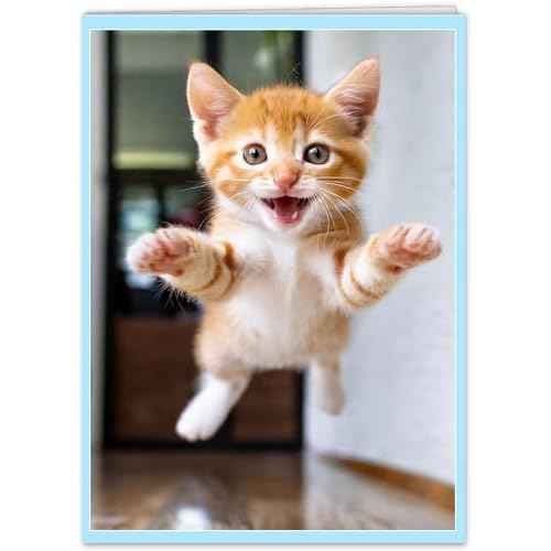 Funny Cat Birthday Hug Card for Women, Men, Coworkers and Anyone and All Ages Ready to Party