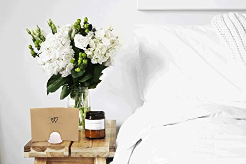 Page'Up EcoGreen White Multi-Sheet Paper Holder for Documents & Photos