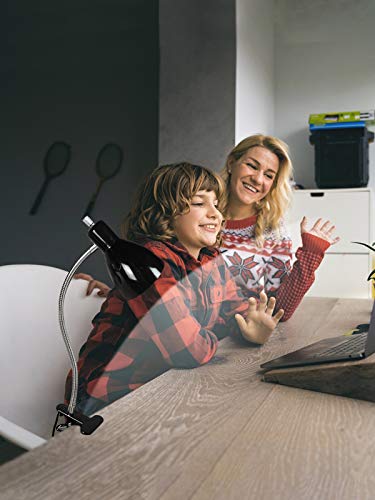 LALISU Black Desk Lamp Eye-Caring Adjustable Gooseneck Clip Light