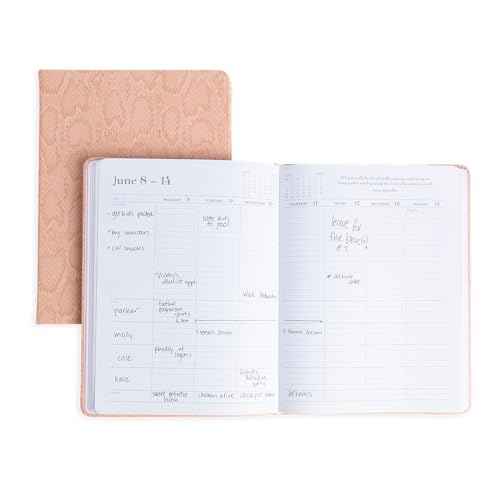 momAgenda Desktop Planner for Busy Moms with Space to Organize Schedules and Appointments for Up To Four Children- 18 Month Calendar (July 2025-August 2026) (Blush Python)
