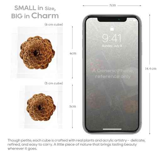 Acrylic Cube Paperweight with Decorative 3D Preserved Flowers, 2.36'' Cube 12 oz, Brown Pine Cone, Aesthetic Desk Shelf Decor and Good Luck Gift for Her
