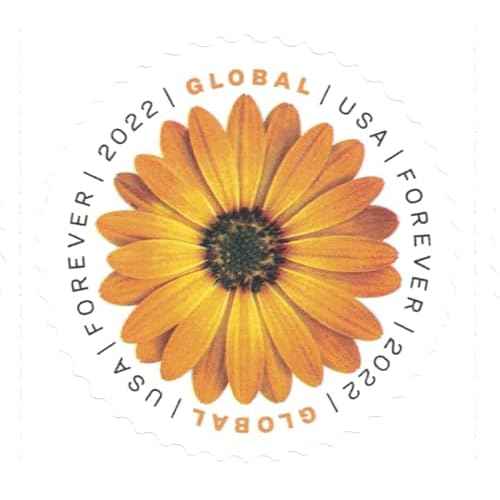 USPS Global International Mail Forever Postage Stamps (2 Sheets of 10)