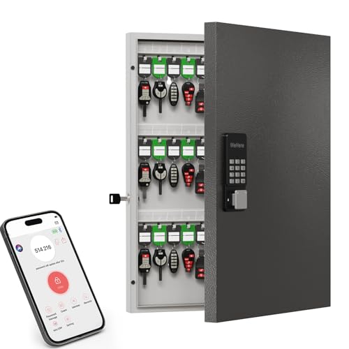 72-Key Smart Key Cabinet with Keypad & App – Wall-Mount Lock Box Organizer