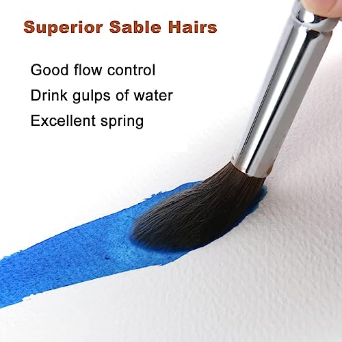 Sable Watercolor Brushes Professional, Fuumuui 8Pcs Sable Brush Set Variety Shapes with Flat, Round Pointed, Liner, Cat's Tongue Oval Wash Perfect for Watercolor Acrylic Gouache Inks Painting