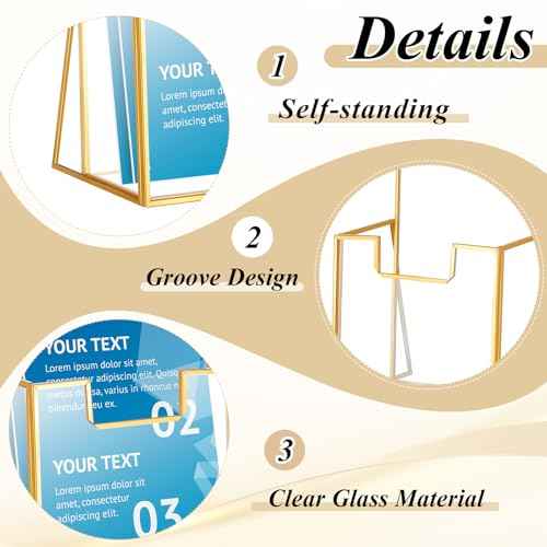 2 Pcs Gold Glass Brochure Holder Stand 4 Inch Countertop Clear Literature Trifold Pamphlet Holder Flyer Brochure Display Stand for Magazine, Booklets, Menu, Journals