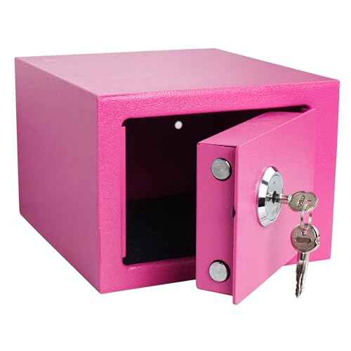 Luwint Small Steel Safe Lock Box with Key, General Home Use, 9.5 x 9 x 6.5 in (Pink)