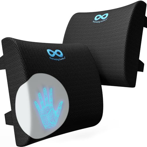 Everlasting Comfort Lumbar Support Pillow for Office Chair - Memory Foam Back Cushion for Chair, Car, Couch - Lumbar Pillow Promotes Better Posture, Back Pain Relief - Ideal for Gaming and Desk Chairs