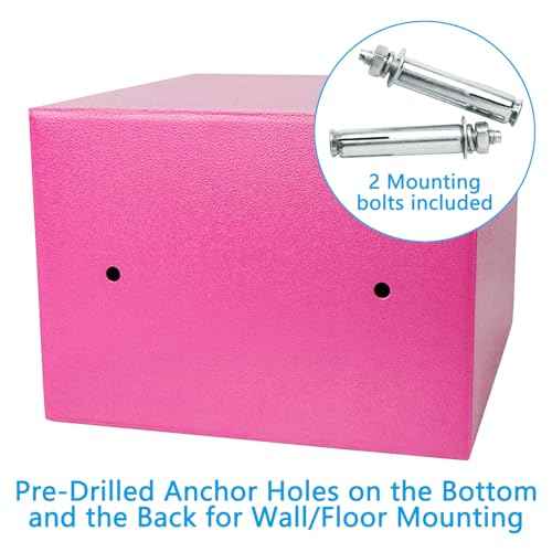 Luwint Small Steel Safe Lock Box with Key, General Home Use, 9.5 x 9 x 6.5 in (Pink)