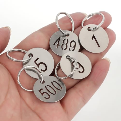 Number Tags with Rings, 25mm 304 Stainless Steel Numbered Key ID Tags, Metal Numbers - 1 to 100