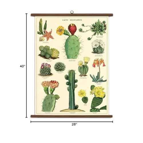 Cavallini Papers & Co., Inc. Succulents Vintage School Chart, Multi