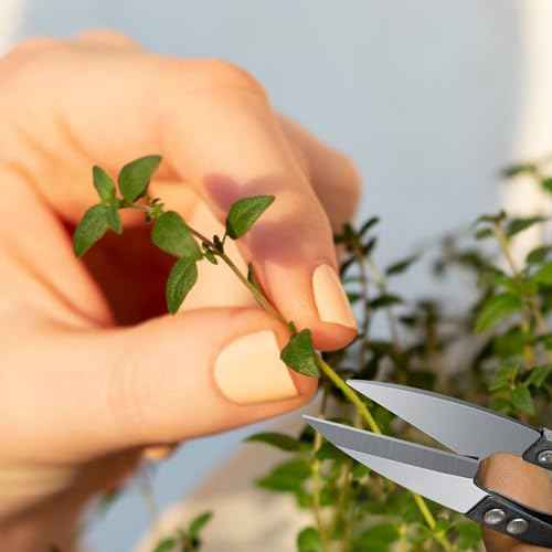 Sewing Scissors with Blade Covers 6 Pack, Stainless Steel Bonsai Pruning Scissors & Thread Snips for Sewing 4.1 inch, Small Thread Cutter for Embroidery, Knitting, Yarn, Gardening, Flowers