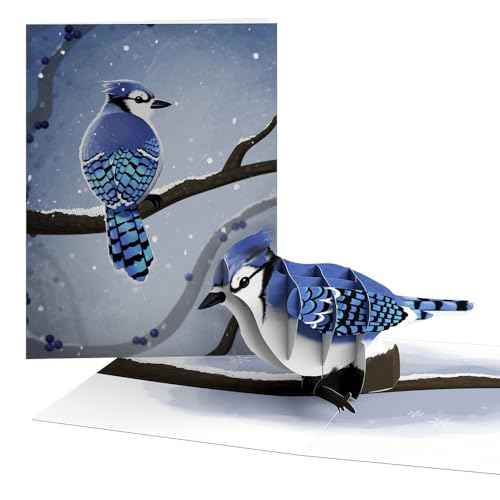Lovepop Winter Bird Box Set (Assorted 12-Pack) Pop-Up Card for Her and Him - 3D Holiday Greeting Cards for Boys, Girls, Men, Women - 4.5" x 5.9" Paperpop Card - Envelope Included