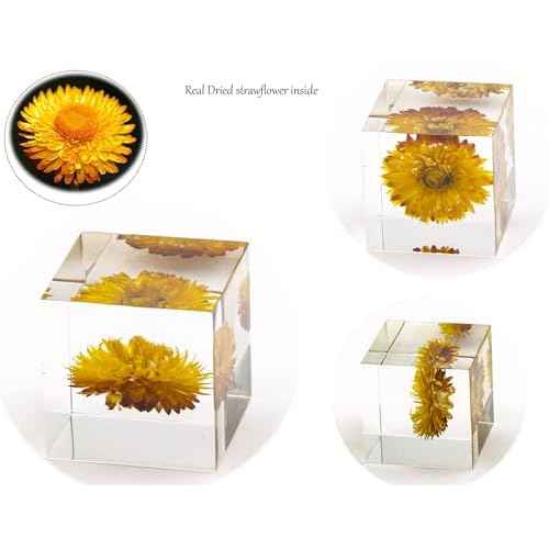 Luxury Natural Real Flowers/Seeds/Plants in Acrylic (not Epoxy Resin), 5CM / 2" Transparent Block Cubes, Anti-yellowing, Paperweight, Specimen, Gifts, Home Decor