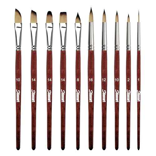 Watercolor Brushes Professional£¬10 PCS Artist Paint Brush Shapes Including Pointed Rounds, Flats£¬Filbert£¬Cat's Tongue Oval Wash£¬Dagger£¬Suitable for Acrylics Water Color Oil Gouache Ink