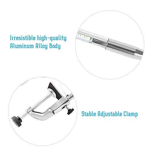 Lampara Para Mesa De Manicura Profesional, USB Clamp LED Desk Lamp, USB Adjustable Direction and Brightness Clip Eye-Caring Table Lamps LED Light Study Light for Reading, Study
