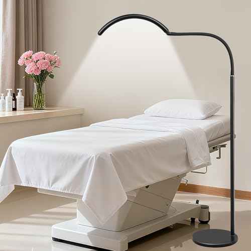 Half Moon LED Floor Lamp - Professional Shadow-Free, Dimmable Light | for Lash Techs, Estheticians & Tattoo Artists | Eyelash Extensions, Nail Art, Home & Office (Charcoal Black)