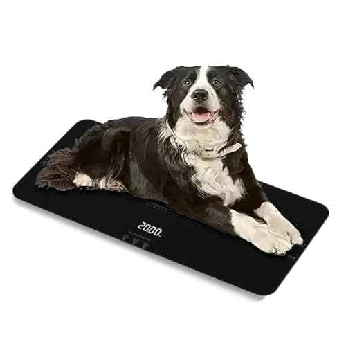 SIKE Medium-Small Veterinary Scale, Dog Scale (¡¾10g) Accuracy, Max 220lbs, Digital Pet Scales and USB Recharging Cord Included, 27 x 13 inch Tempered Glass Platform with Anti Slip Sticker