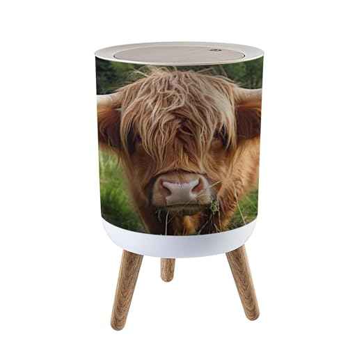 Small Trash Can with Lid for Bathroom Kitchen Office Funny Hairy Cow Highland Cattle Close up Garbage Bin Waste Basket Decorative 1.8 gallons, 14x9inch