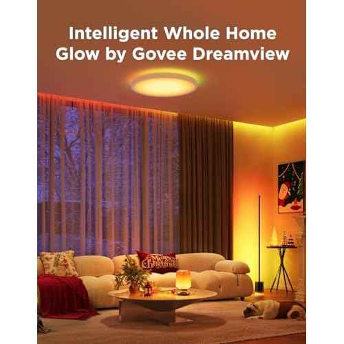 Govee Floor Lamp 2 with Matter, RGBIC, Warm Cool White LED, Alexa Compatible, 1725lm, Music Sync, Scene Modes, Smart Floor Lamp for Living Room, Bedroom, Black(1 Pack)
