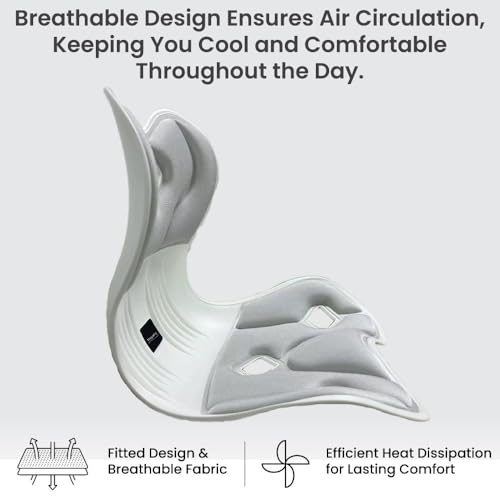 Ergonomic Lumbar Support Cushion, Silver,44.5mm x 410mm x 340mm, Standard Size, for Shoulder and Back Posture, 110-265 lbs Capacity