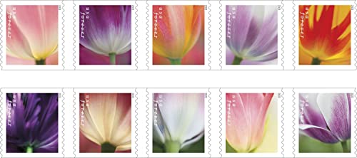 2023 Tulip Blossom First Day Cover Postage Stamp Set - USPS