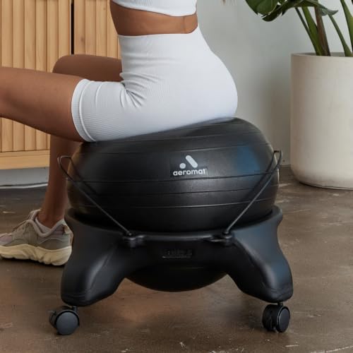 Aeromat Adjustable Active Sitting Exercise Ball Chair with Spine Support