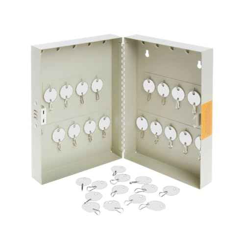Lucky Line Oval Cabinet Key Tag with Hook, White, 100 Blank Tags (25890)