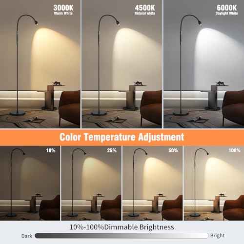 Adjustable Gooseneck LED Beam Floor Lamp, Standing Reading Lamp with Flexible Gooseneck, Dimmable, Timer and Zoomable Spotlight, Black Task Bright Lights with Remote for Living Room Bedroom