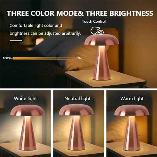 Portable Metal Desk Lamp,3-Color Touch Control, Rechargeable Battery - Ideal Bedside Lamp for Bedroom Nightstand (Rose Gold)